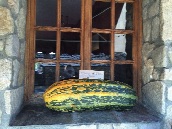 Couldn't resist this one
