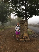 A wayside marker - the scallop symbol marks the correct path